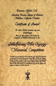 a.Piller Certificate